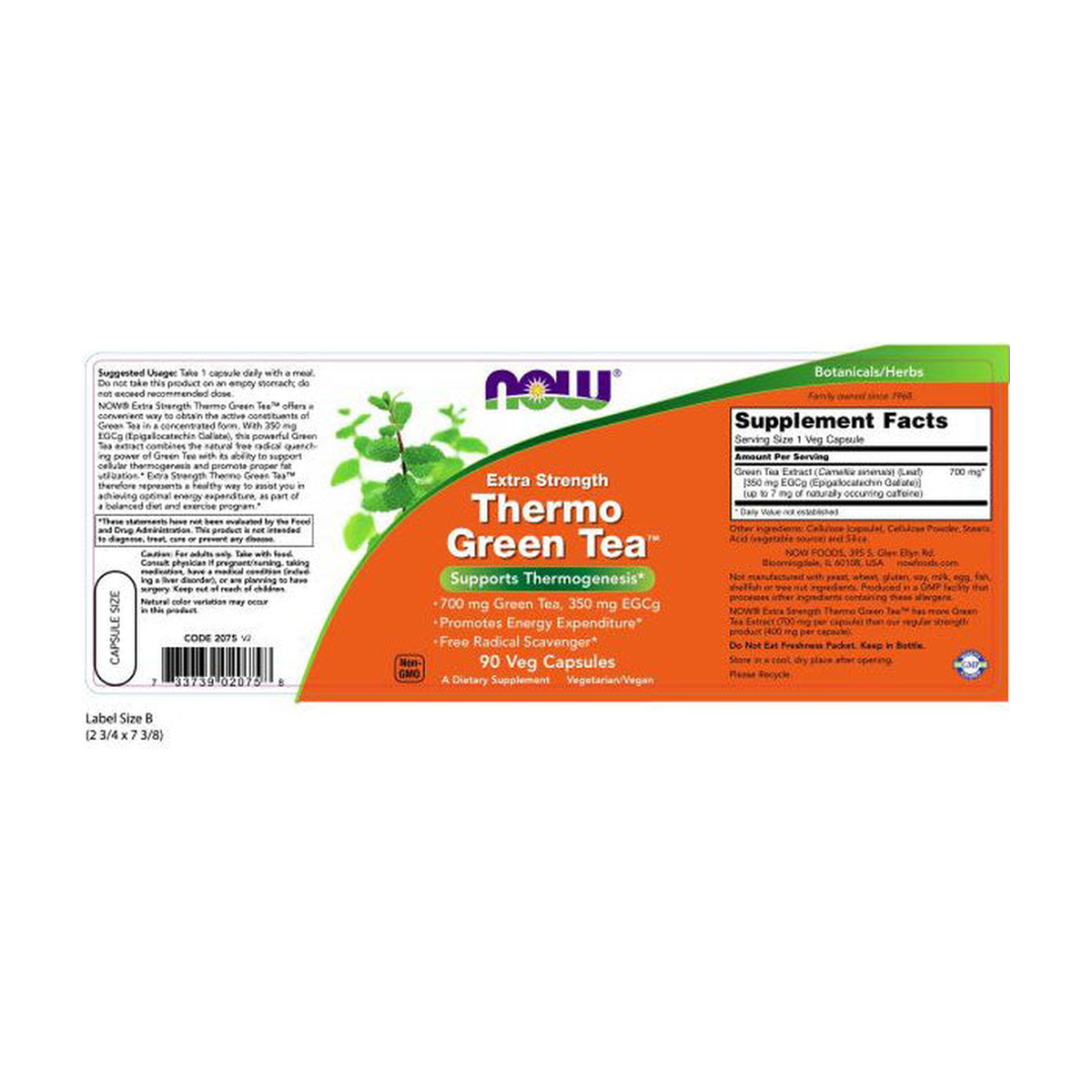 NOW Foods NOW2075 Thermo Green Tea - Produktansicht 3